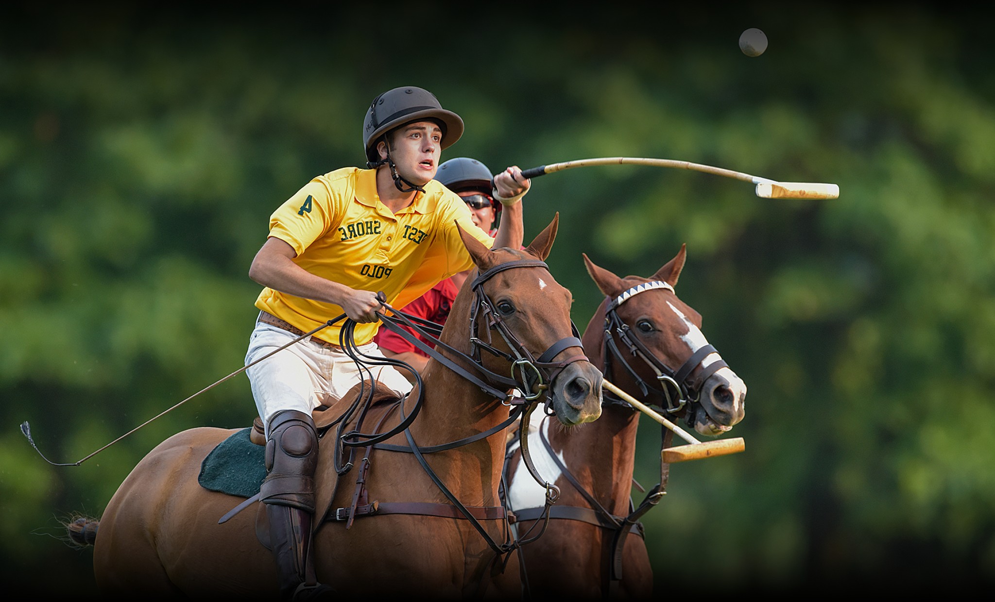 Gallery - Maryland Polo Club